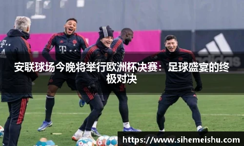 安联球场今晚将举行欧洲杯决赛：足球盛宴的终极对决