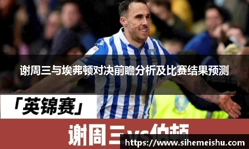 谢周三与埃弗顿对决前瞻分析及比赛结果预测