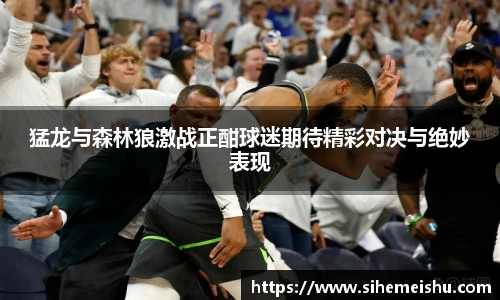 猛龙与森林狼激战正酣球迷期待精彩对决与绝妙表现