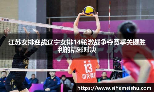 江苏女排迎战辽宁女排14轮激战争夺赛季关键胜利的精彩对决